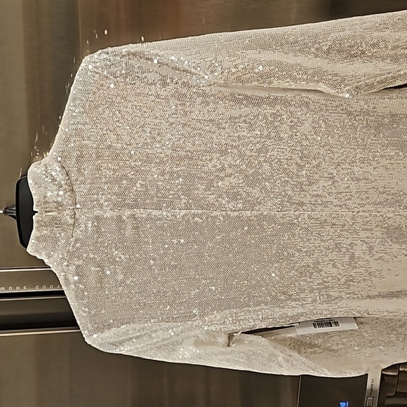 💕REFORMATION💕 Talicia Sequin Mock Neck Maxi Dress ~ Silver Sparkle 6 NWT - Picture 11 of 16